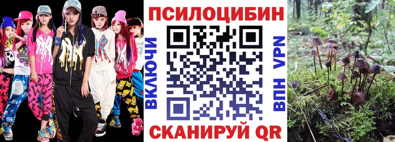 Галлюциногенные грибы Psilocybe  Магадан 